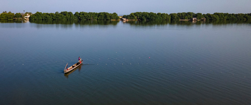 El GEF anunció 64 millones de dólares para apoyar proyectos ambientales en Colombia El GEF anunció 64 millones de dólares para apoyar proyectos ambientales en Colombia