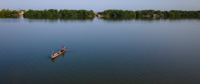 El GEF anunció 64 millones de dólares para apoyar proyectos ambientales en Colombia