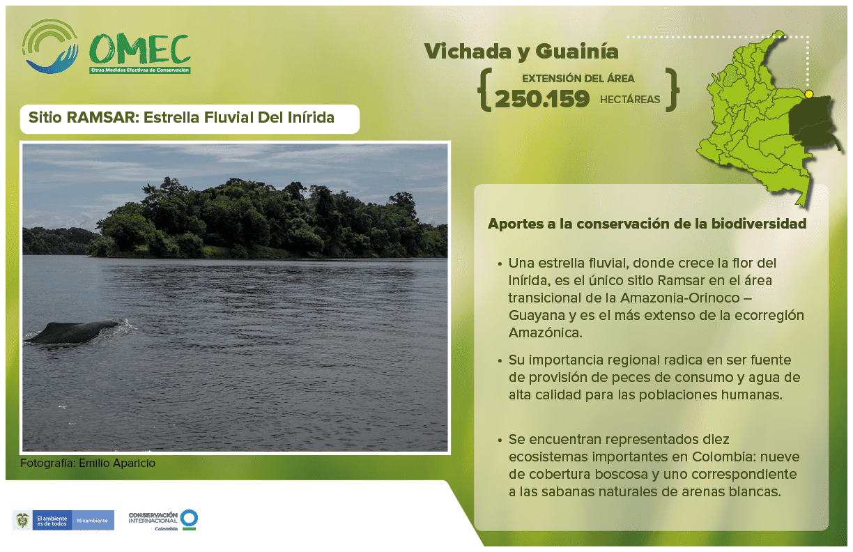 infografia sobre sitio RAMSAR en Vichada