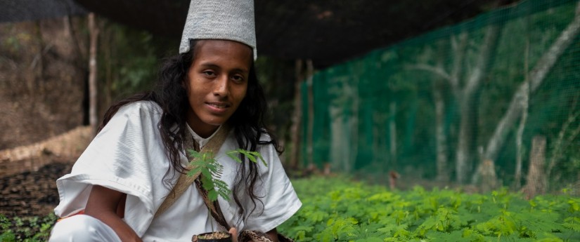 “Al árbol lo tratamos igual que a un humano”: Raúl Torres, indígena arhuaco “Al árbol lo tratamos igual que a un humano”: Raúl Torres, indígena arhuaco