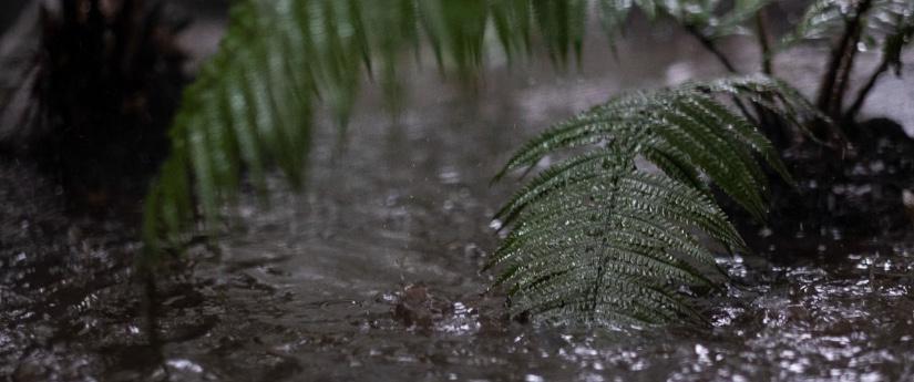 Se publican los lineamientos para el uso de aguas lluvias y el manejo de sedimentos Se publican los lineamientos para el uso de aguas lluvias y el manejo de sedimentos