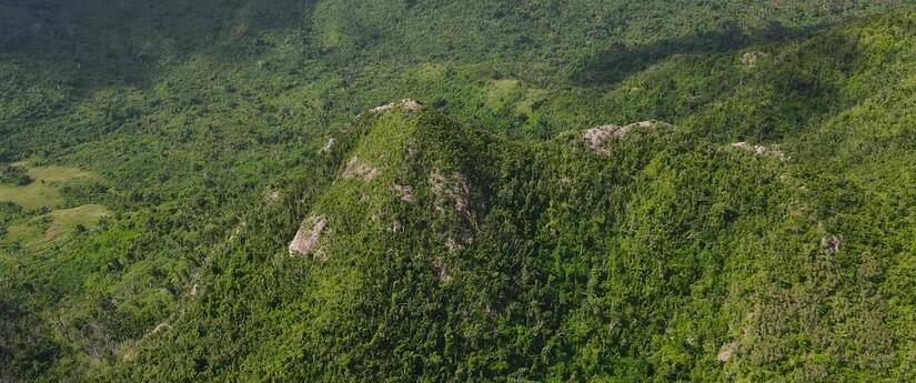 Ministra Susana Muhamad, con la lupa puesta en las reservas forestales del país