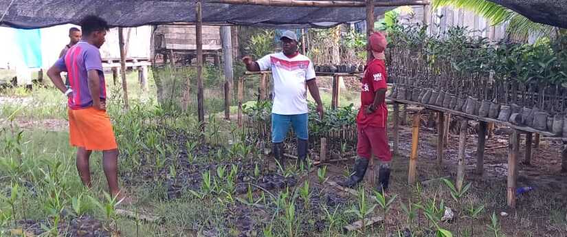 IIAP y las comunidades siembran más de un millón de árboles en el Chocó Biogeográfico IIAP y las comunidades siembran más de un millón de árboles en el Chocó Biogeográfico