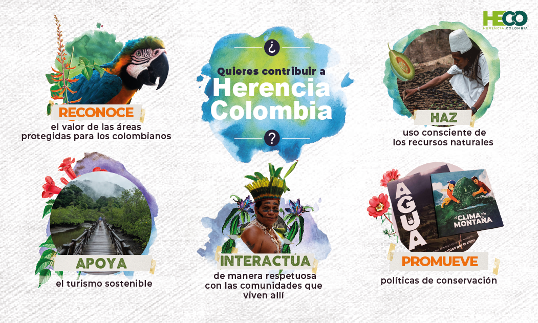 infografia sobre como contribuir en herencia Colombia