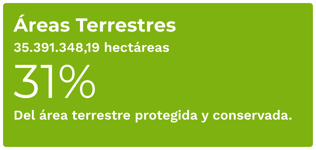 Datos avances con áreas terrestres OMEC