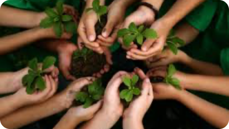 ucga-foto-promover manos de niños sosteniendo plantulas