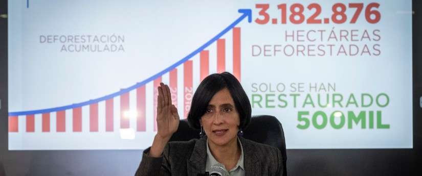 En Colombia se han deforestado más de tres millones de hectáreas de bosque en las últimas dos décadas En Colombia se han deforestado más de tres millones de hectáreas de bosque en las últimas dos décadas