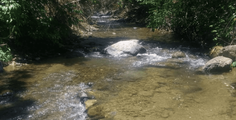 fotografia de un riachuelo en día soleado