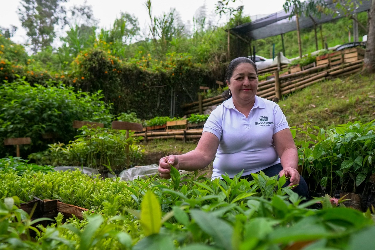 mujer regando un jardín de plantas