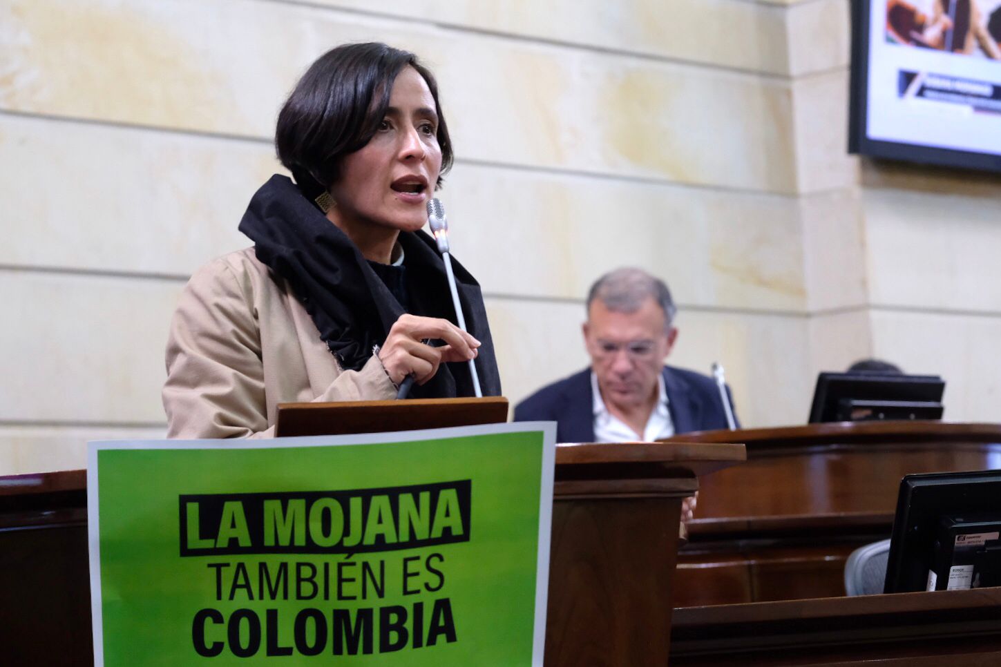 “Intentar secar La Mojana es una ingenuidad”: Minambiente “Intentar secar La Mojana es una ingenuidad”: Minambiente
