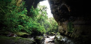 Cueva de los Guacharos-mini