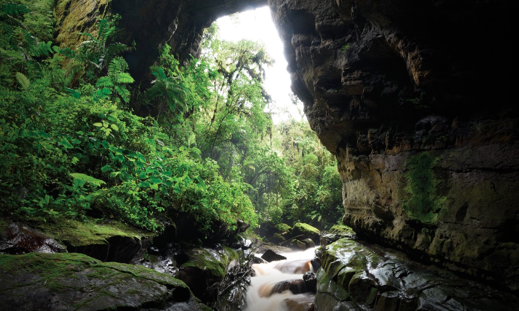 Parque Nacional Natural Cueva de los Guácharos