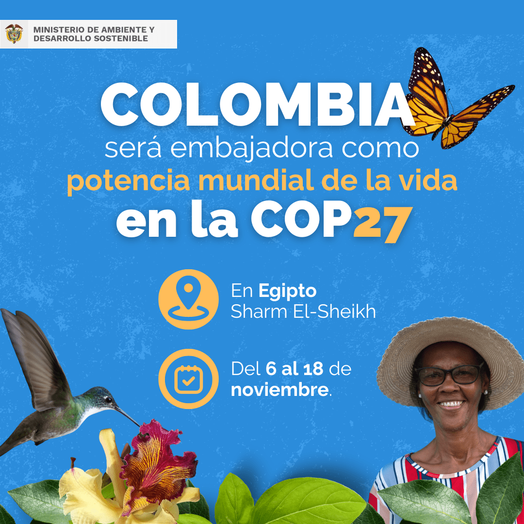 banner informativo sobre el evento COP27
