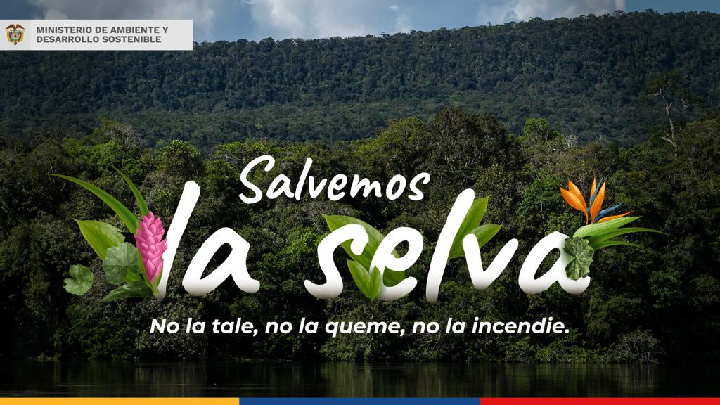 Minambiente lanza la campaña: “Salvemos la selva”