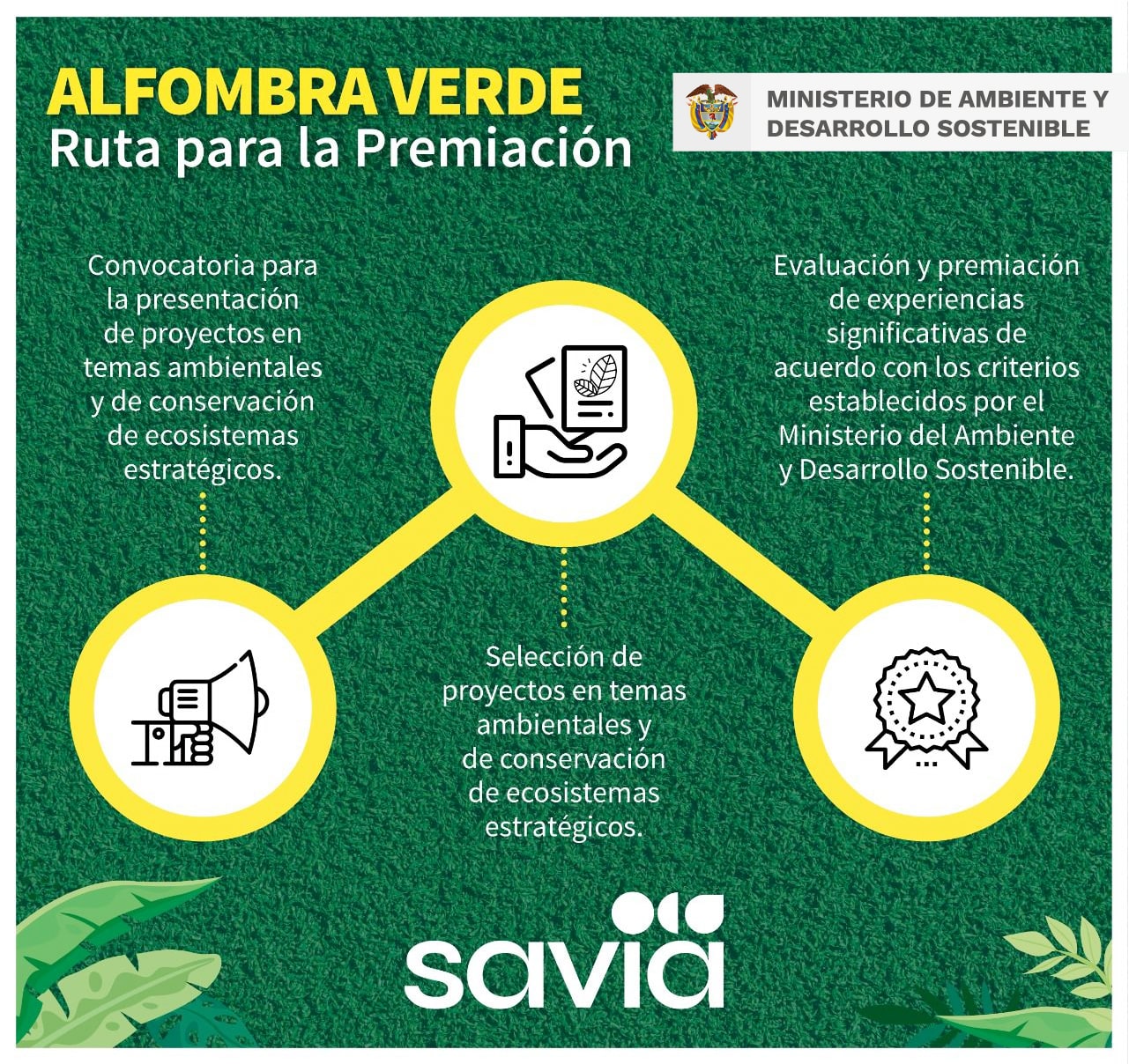 Alfombra verde Ruta para la Premiación