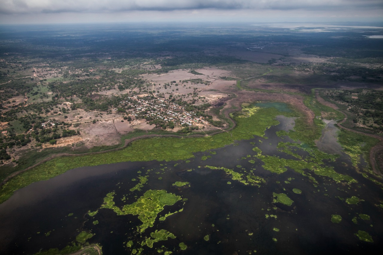 Ecosistemas se verán afectados por ciclones, tormentas, heladas, entre otros fenómenos climatológicos Ecosistemas se verán afectados por ciclones, tormentas, heladas, entre otros fenómenos climatológicos