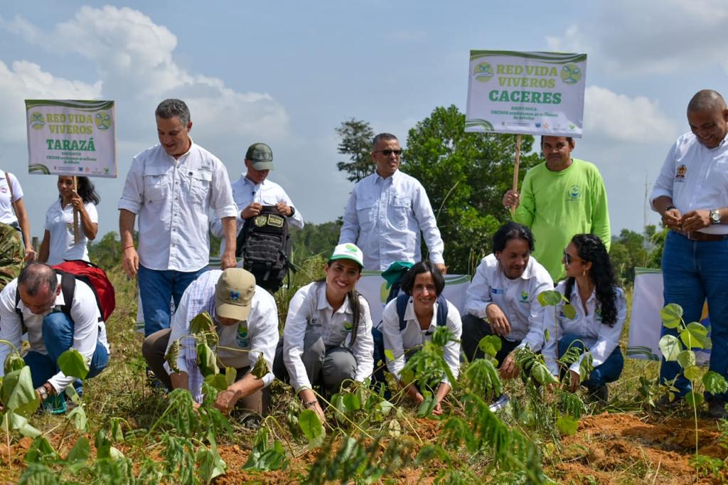 Minambiente fortalece alianza para frenar deforestación y recuperar los ecosistemas Minambiente fortalece alianza para frenar deforestación y recuperar los ecosistemas