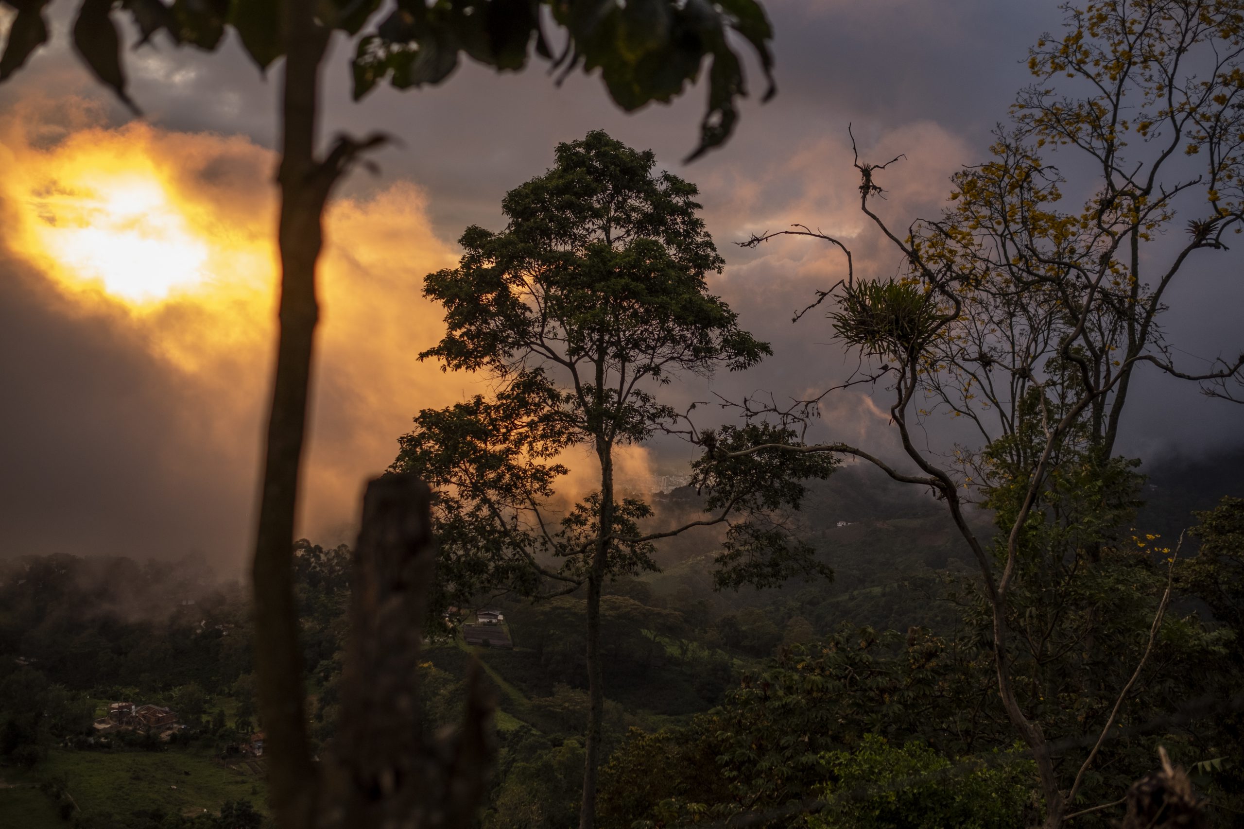 #SinFuegoCeroIncendios: Tú puedes ayudarnos a proteger nuestros bosques