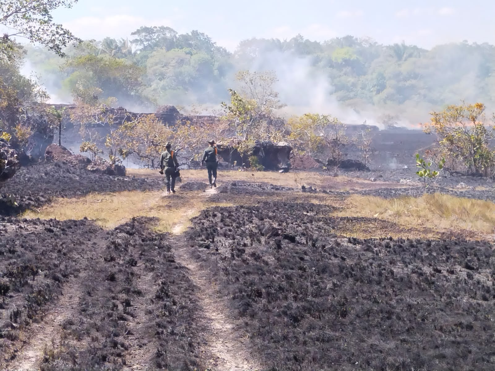 Comienzan talleres en 12 departamentos para prevenir incendios forestales en temporada de menos lluvias