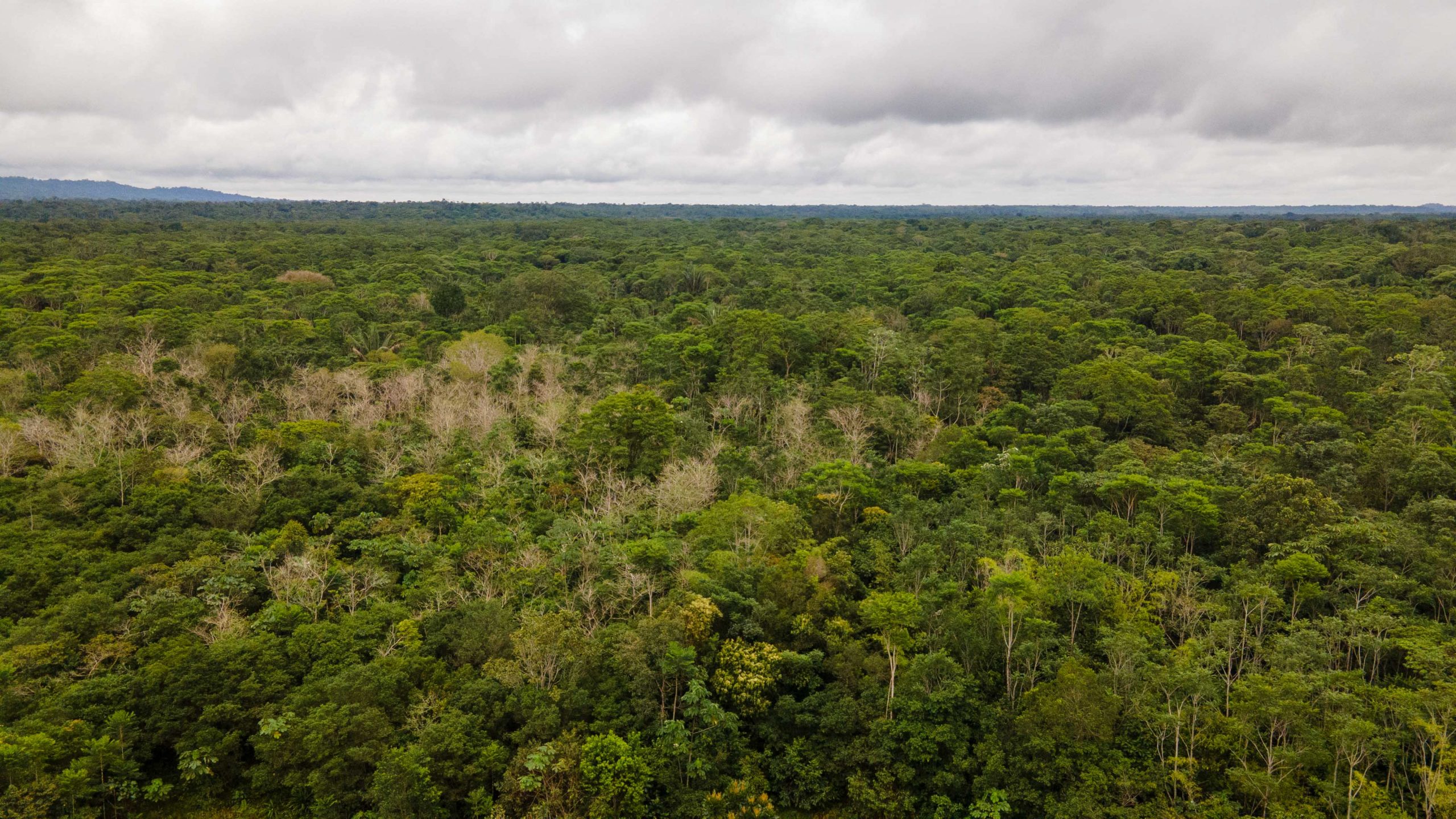 Inyectarán $43 millones de dólares para el manejo sostenible de áreas protegidas y paisajes en Colombia