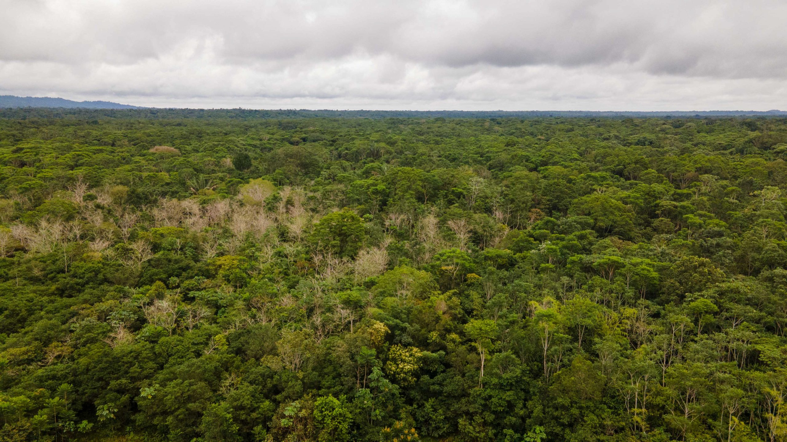 Inyectarán $43 millones de dólares para el manejo sostenible de áreas protegidas y paisajes en Colombia Inyectarán $43 millones de dólares para el manejo sostenible de áreas protegidas y paisajes en Colombia