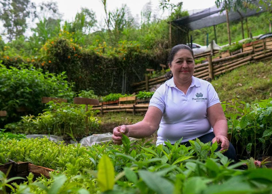 Mujeres, protagonistas en la conservación de la naturaleza Mujeres, protagonistas en la conservación de la naturaleza