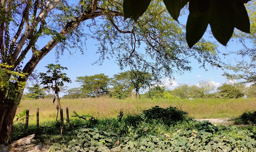 Impacto ambiental del Bajo Cauca se vive a escala nacional’: Ministra Susana Muhamad Impacto ambiental del Bajo Cauca se vive a escala nacional’: Ministra Susana Muhamad