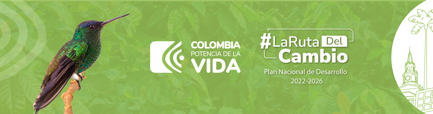 Banner web inicio