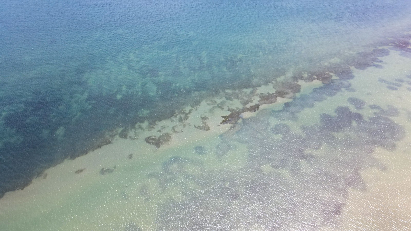 Cerca de 15.000 millones de pesos para la protección de los pastos marinos en La Guajira Cerca de 15.000 millones de pesos para la protección de los pastos marinos en La Guajira