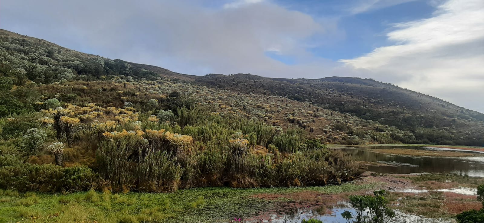13 millones de dólares para la conservación de los páramos en Colombia 13 millones de dólares para la conservación de los páramos en Colombia