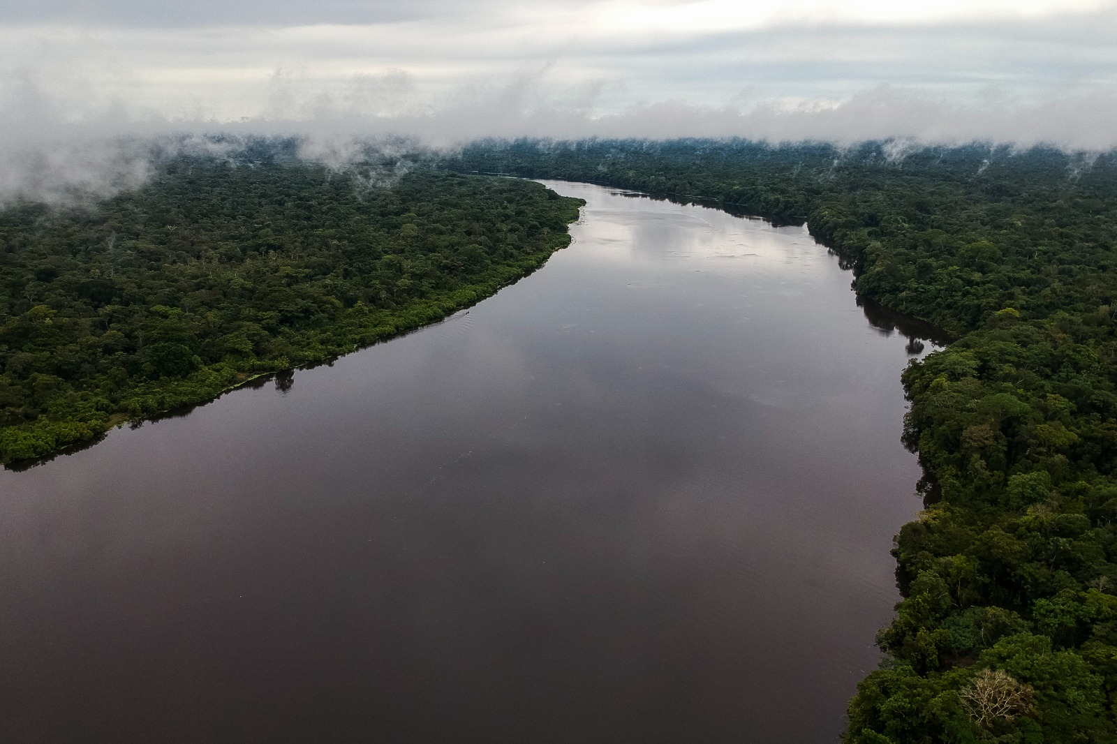 La Amazonía, invitada de honor en la Feria Internacional del Ambiente en Bogotá La Amazonía, invitada de honor en la Feria Internacional del Ambiente en Bogotá