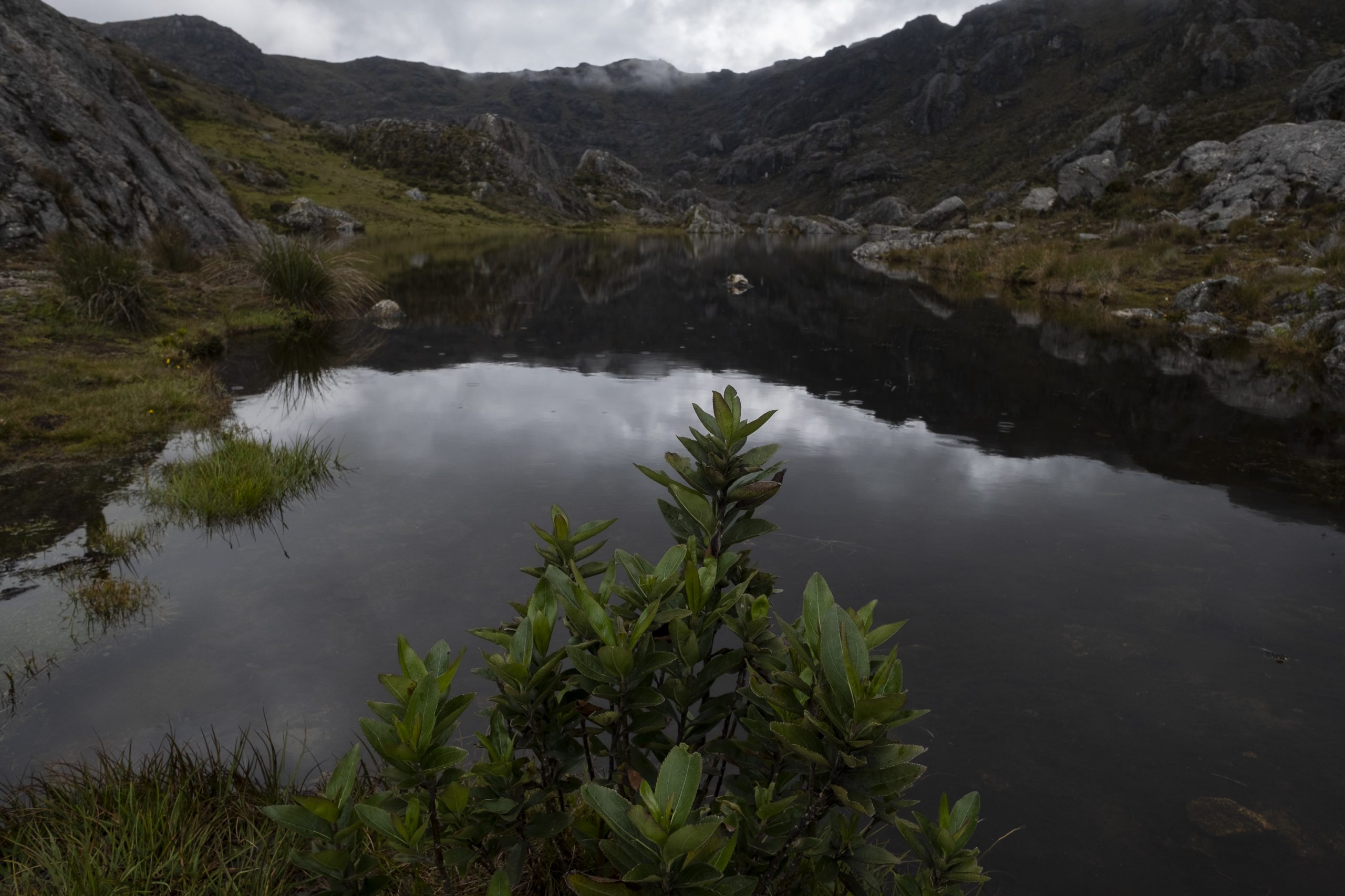 Poner el agua en el centro nos va a llevar a un acuerdo social por la protección del páramo: Ministra de Ambiente Poner el agua en el centro nos va a llevar a un acuerdo social por la protección del páramo: Ministra de Ambiente