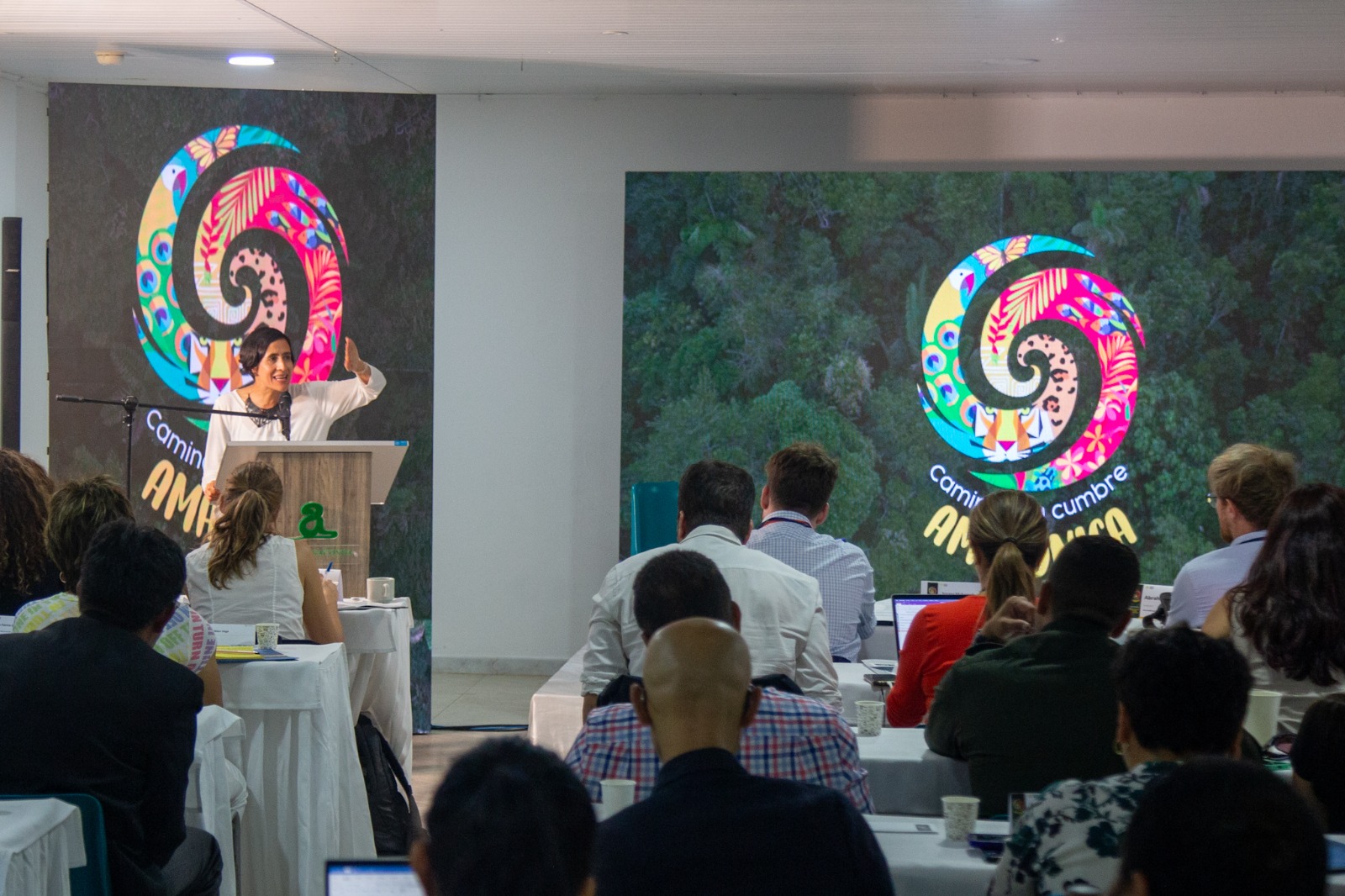 Delitos ambientales trasnacionales y sus capitales, tema clave en Cumbre Amazónica Delitos ambientales trasnacionales y sus capitales, tema clave en Cumbre Amazónica