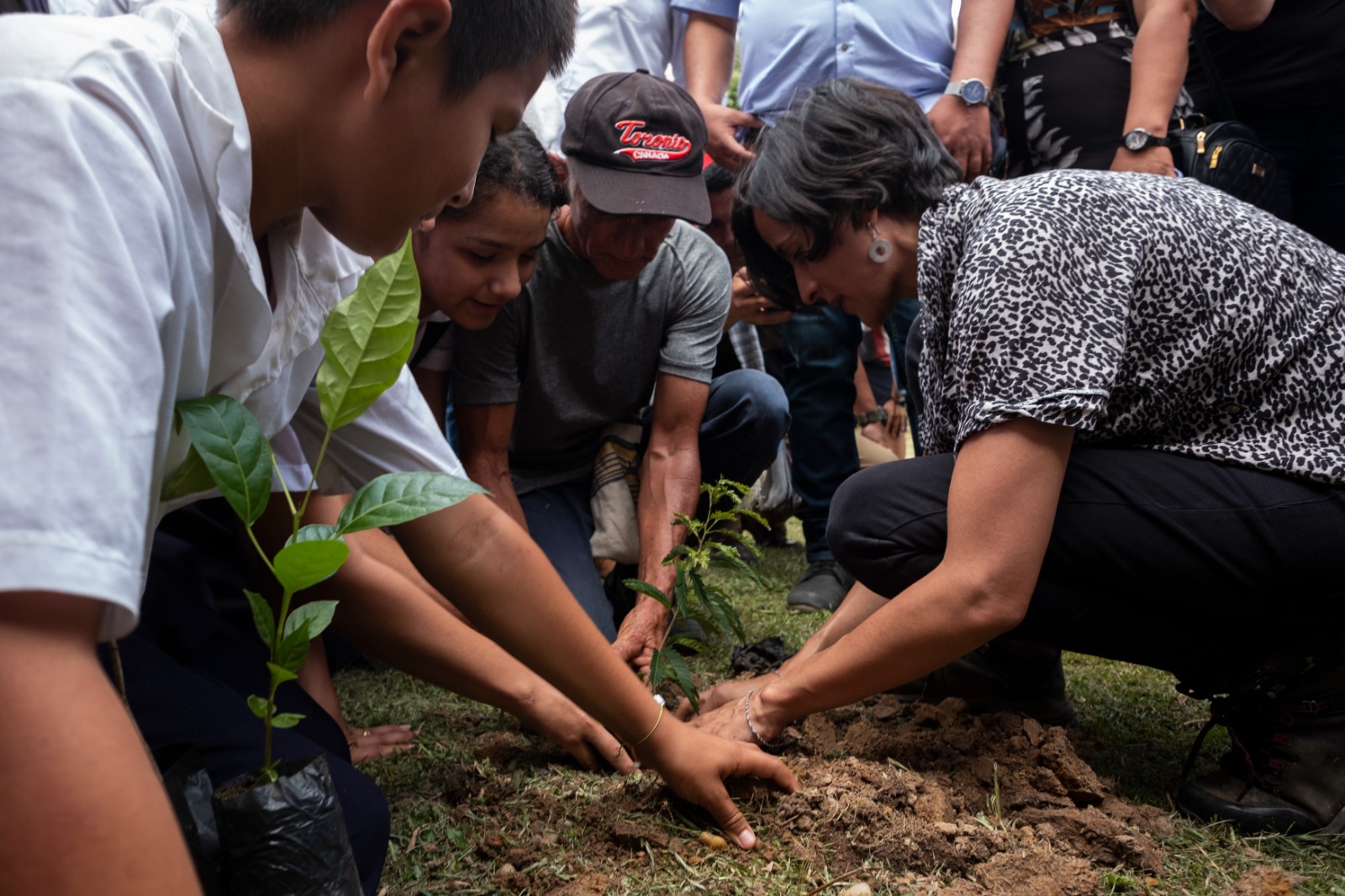Colombia liderará primer Observatorio Mesoamericano de Educación Ambiental Colombia liderará primer Observatorio Mesoamericano de Educación Ambiental