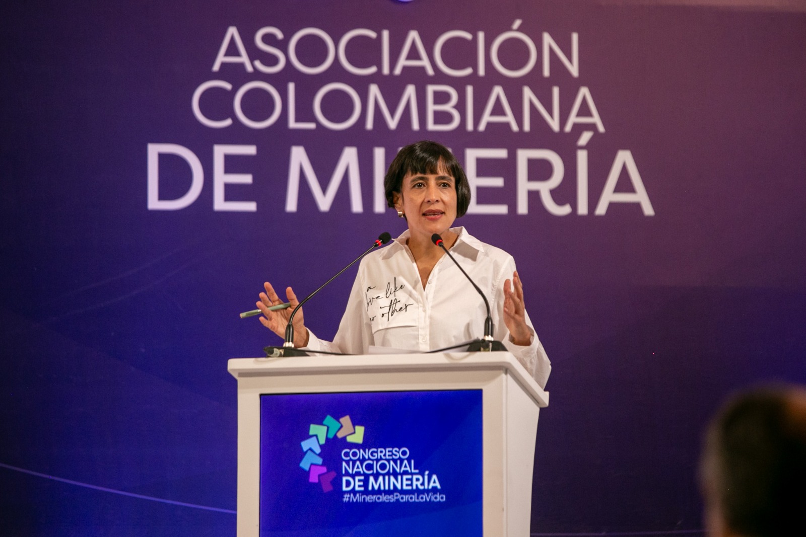 “El reordenamiento minero es la apuesta del Gobierno para una minería estratégica y sostenible” : ministra de Ambiente