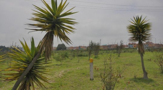 Humedal-Tibanica-4-octubre