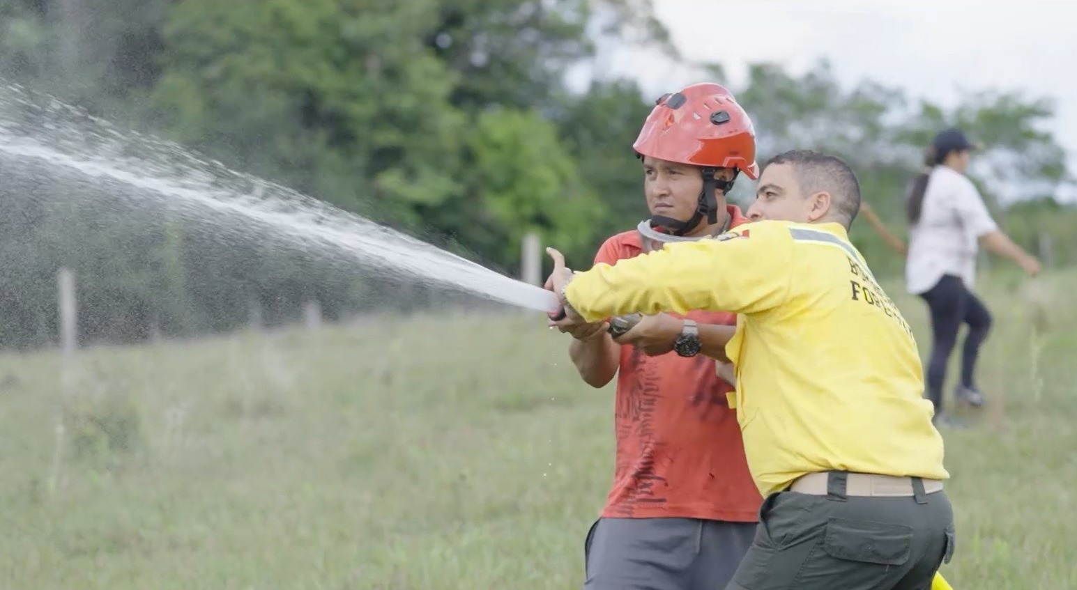 Minambiente crea Red Nacional de Brigadas Forestales ante el fenómeno de El Niño