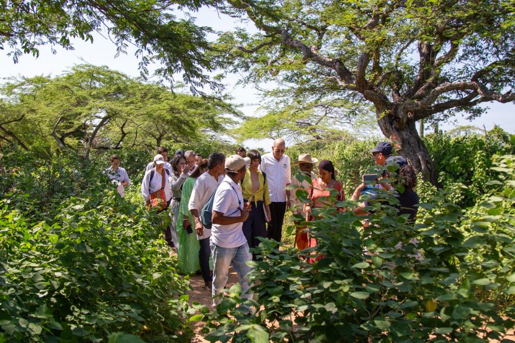 Sector Ambiente avanza en acciones para el cumplimiento del decreto de emergencia de La Guajira