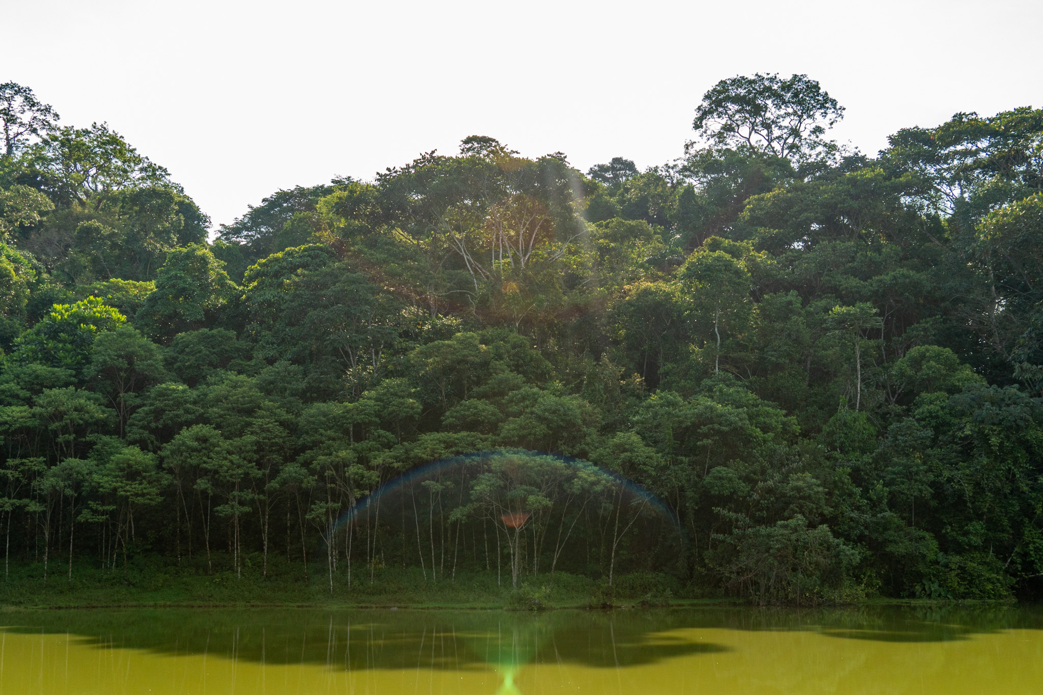 Ministra de Ambiente revela alertas tempranas que muestran reducción del 70% de la deforestación