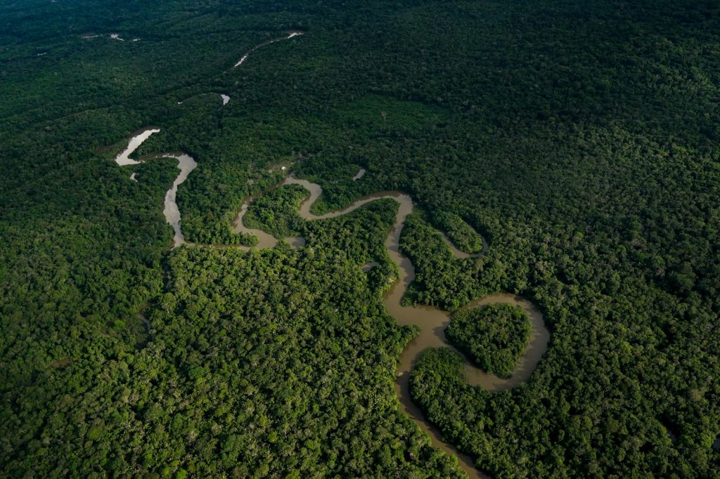Colombia crea nuevo fondo para transformar el ambiente y proteger los ecosistemas