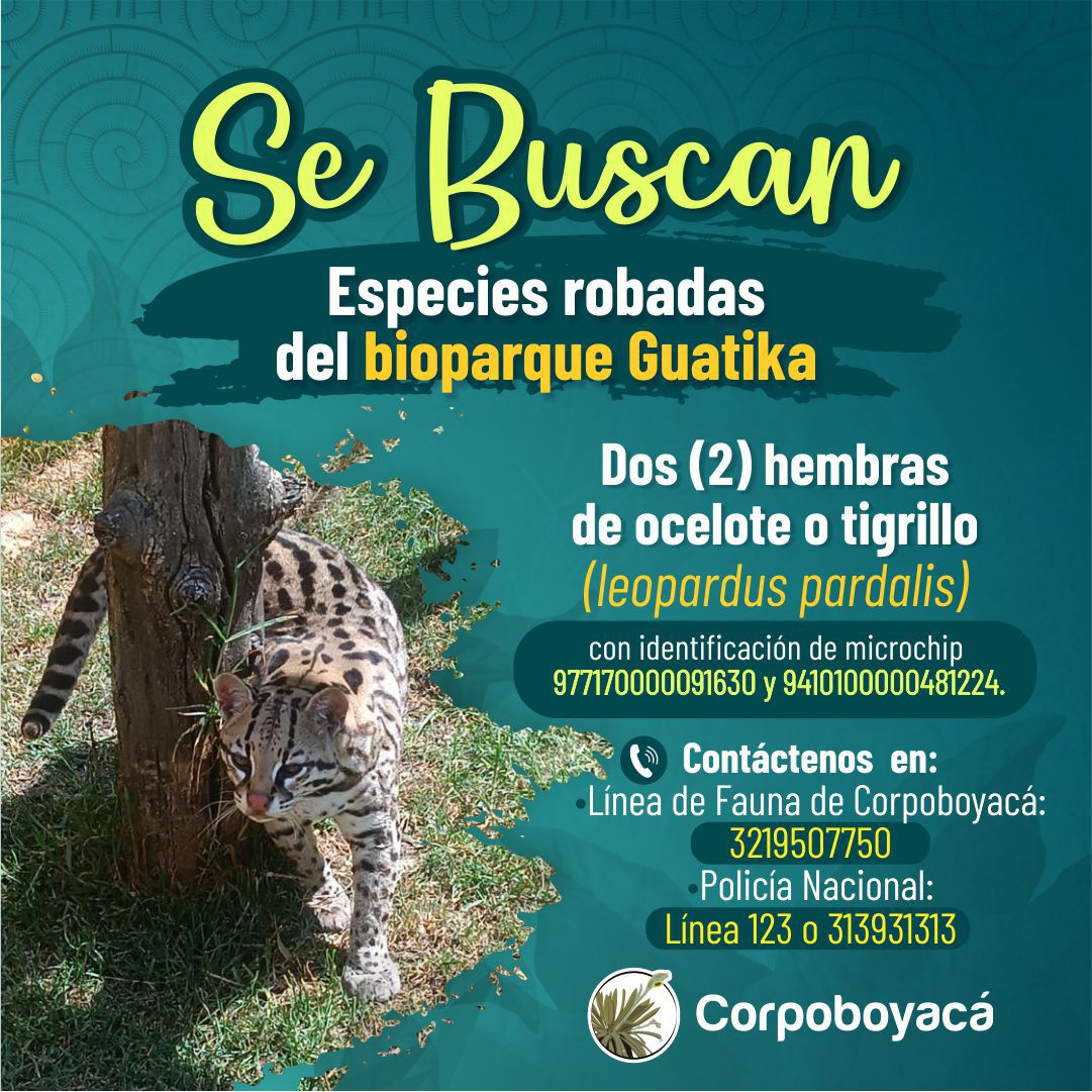 Hasta $20 millones de recompensa por información que permita ubicar fauna hurtada de zoológico Hasta $20 millones de recompensa por información que permita ubicar fauna hurtada de zoológico