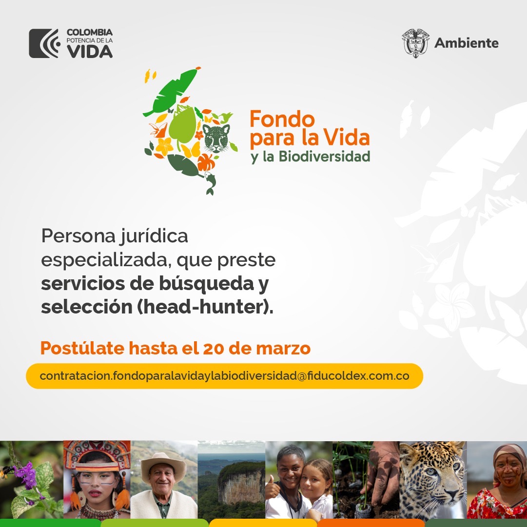 Abierta convocatoria para ‘Headhunters’ interesados en adelantar contratación para el Fondo para la Vida Abierta convocatoria para ‘Headhunters’ interesados en adelantar contratación para el Fondo para la Vida
