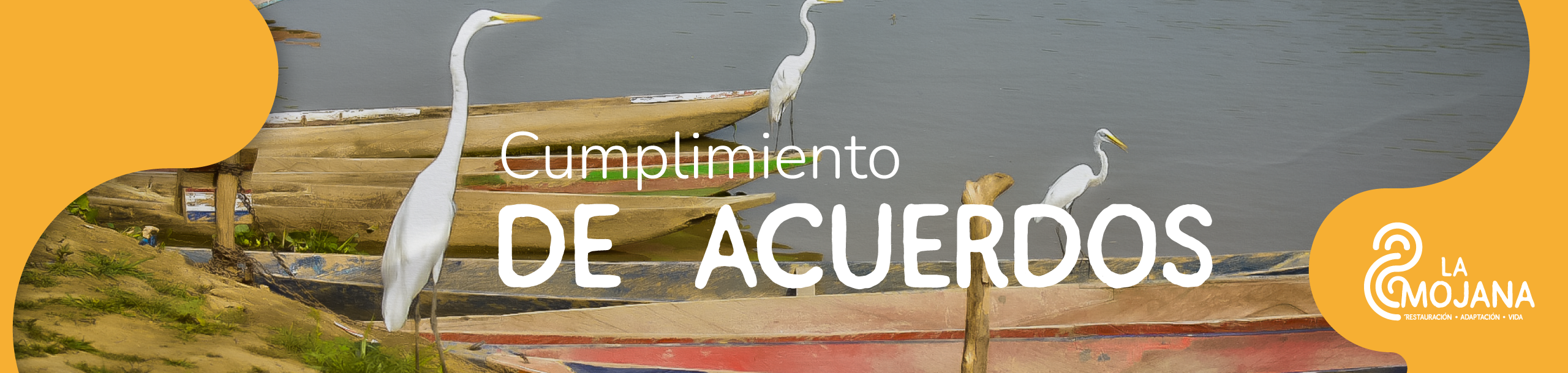 Acuerdos_MICROSITIO_MOJANA