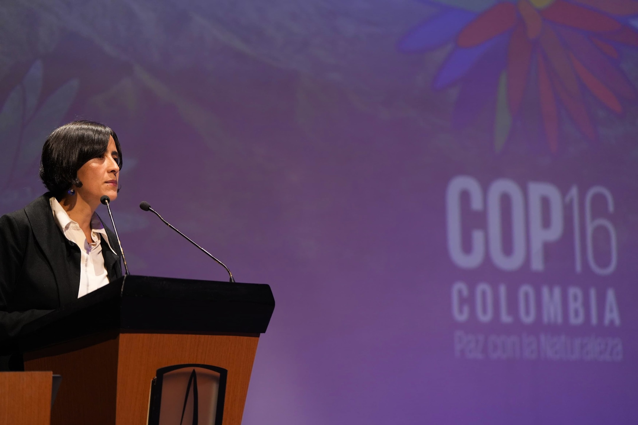 “No hablo de salvar la Amazonía, sino cómo no la dejamos colapsar”: Ministra Susana Muhamad “No hablo de salvar la Amazonía, sino cómo no la dejamos colapsar”: Ministra Susana Muhamad