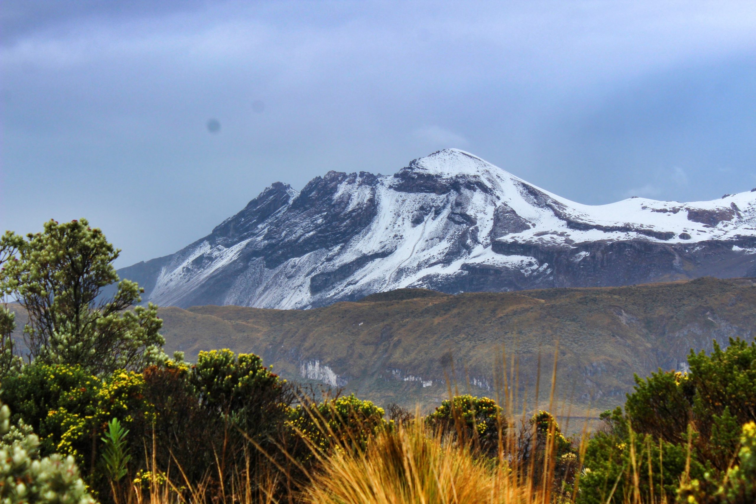Más de 180 mil hectáreas de actividades sostenibles y de conservación, protegerían el Parque Nacional Natural Los Nevados