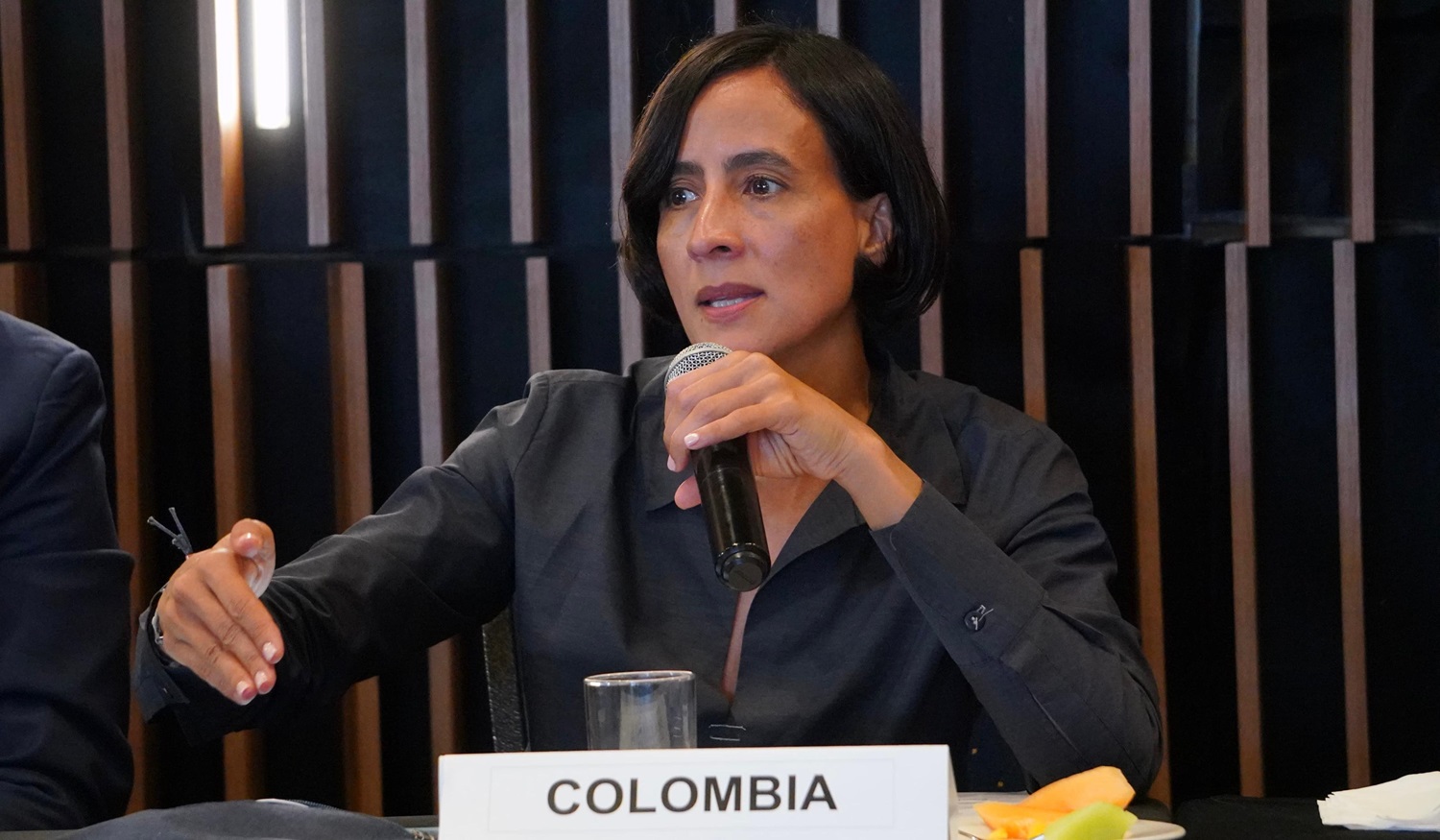 Reforma al sistema financiero mundial para enfrentar la crisis climática: Ministra Muhamad Reforma al sistema financiero mundial para enfrentar la crisis climática: Ministra Muhamad