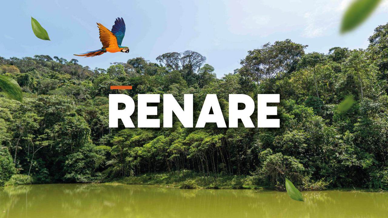 Se reactiva plataforma para registro nacional de reducción de emisiones y remoción de GEI – RENARE