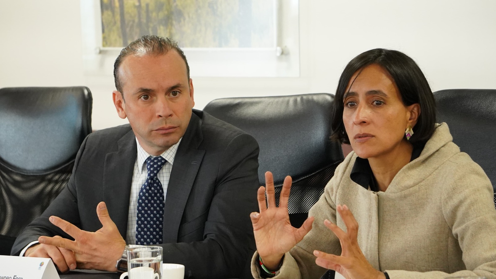 La seguridad para la COP16 en Cali está garantizada: Minambiente