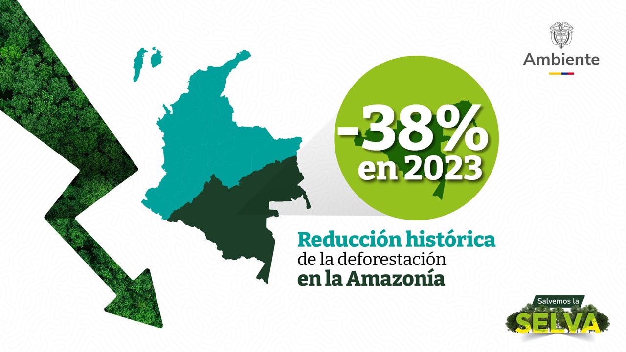 Reducción histórica de la deforestación en la Amazonía colombiana