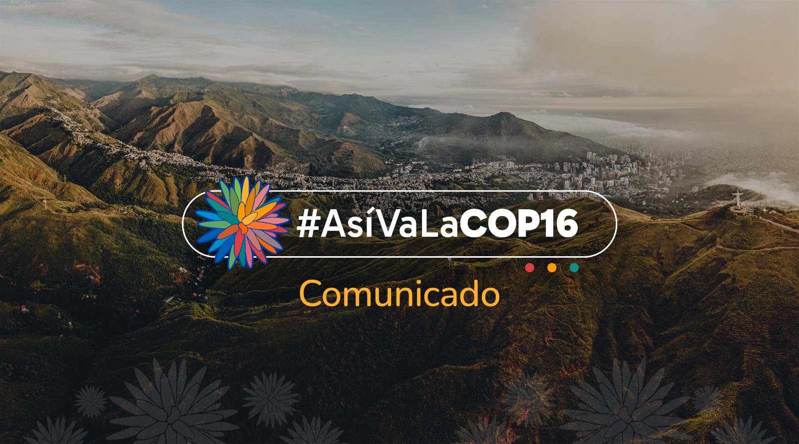 Comunicado de Prensa Comunicado de Prensa